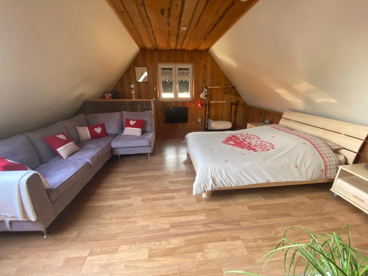 Gite Des Cigognes Sermersheim Екстер'єр фото