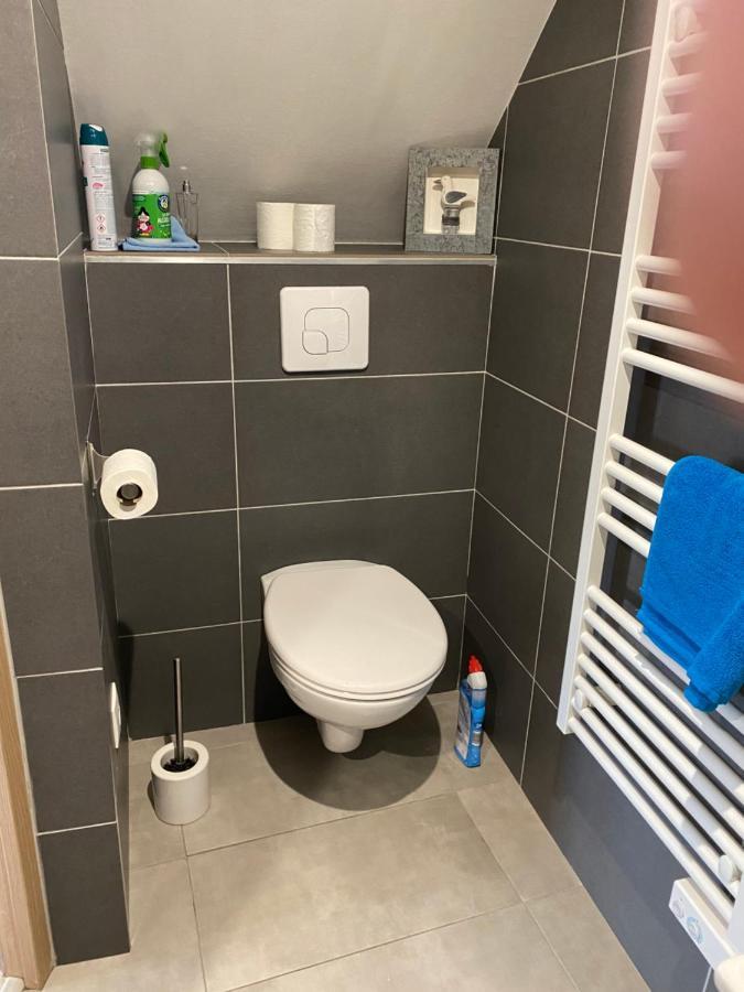 Gite Des Cigognes Sermersheim Екстер'єр фото
